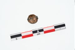Foto von Bronzezwingenniet (NHMW-PRAE-026299)